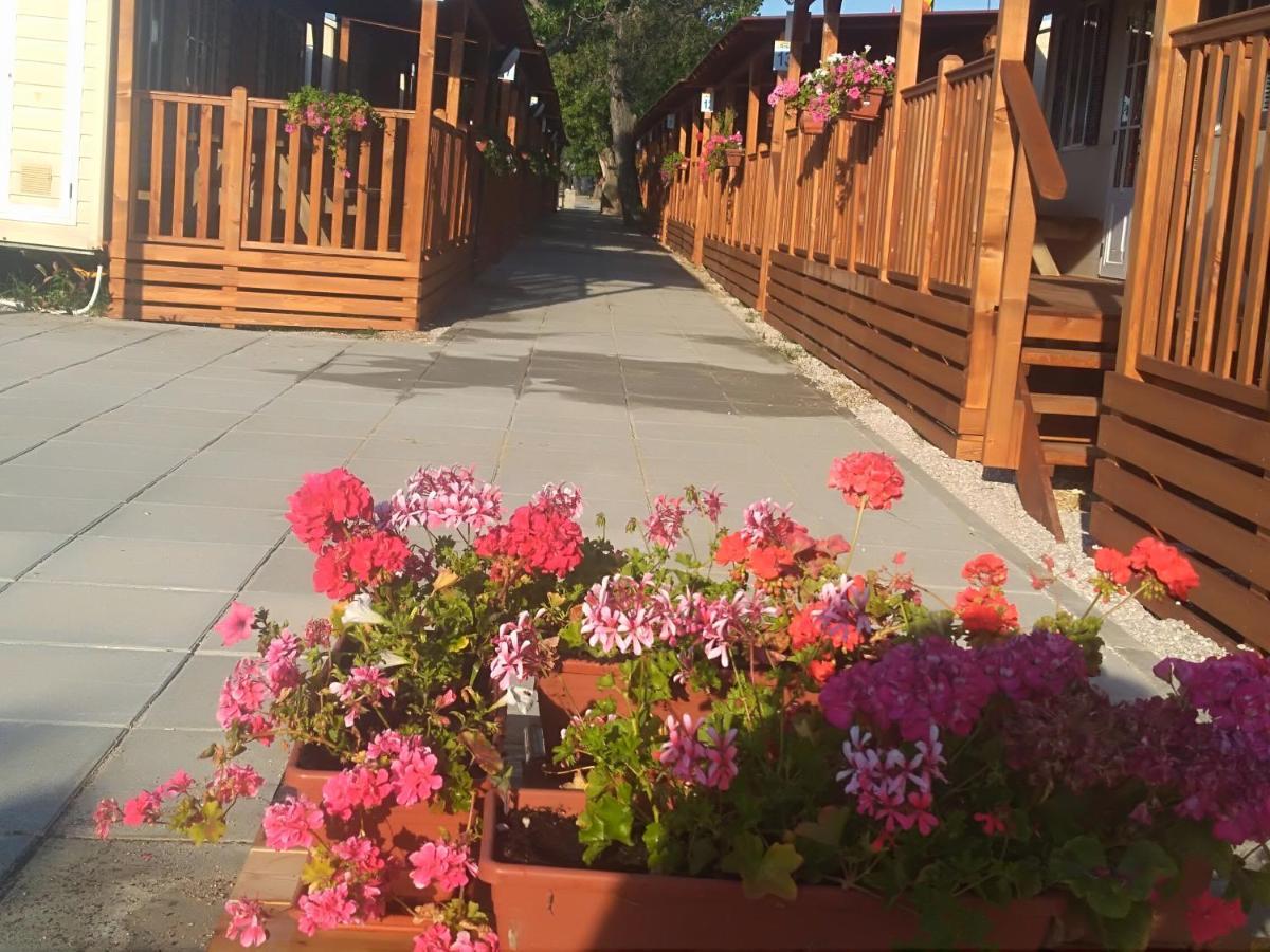 Villaggio Degli Angeli Scerne Pineto Exteriér fotografie